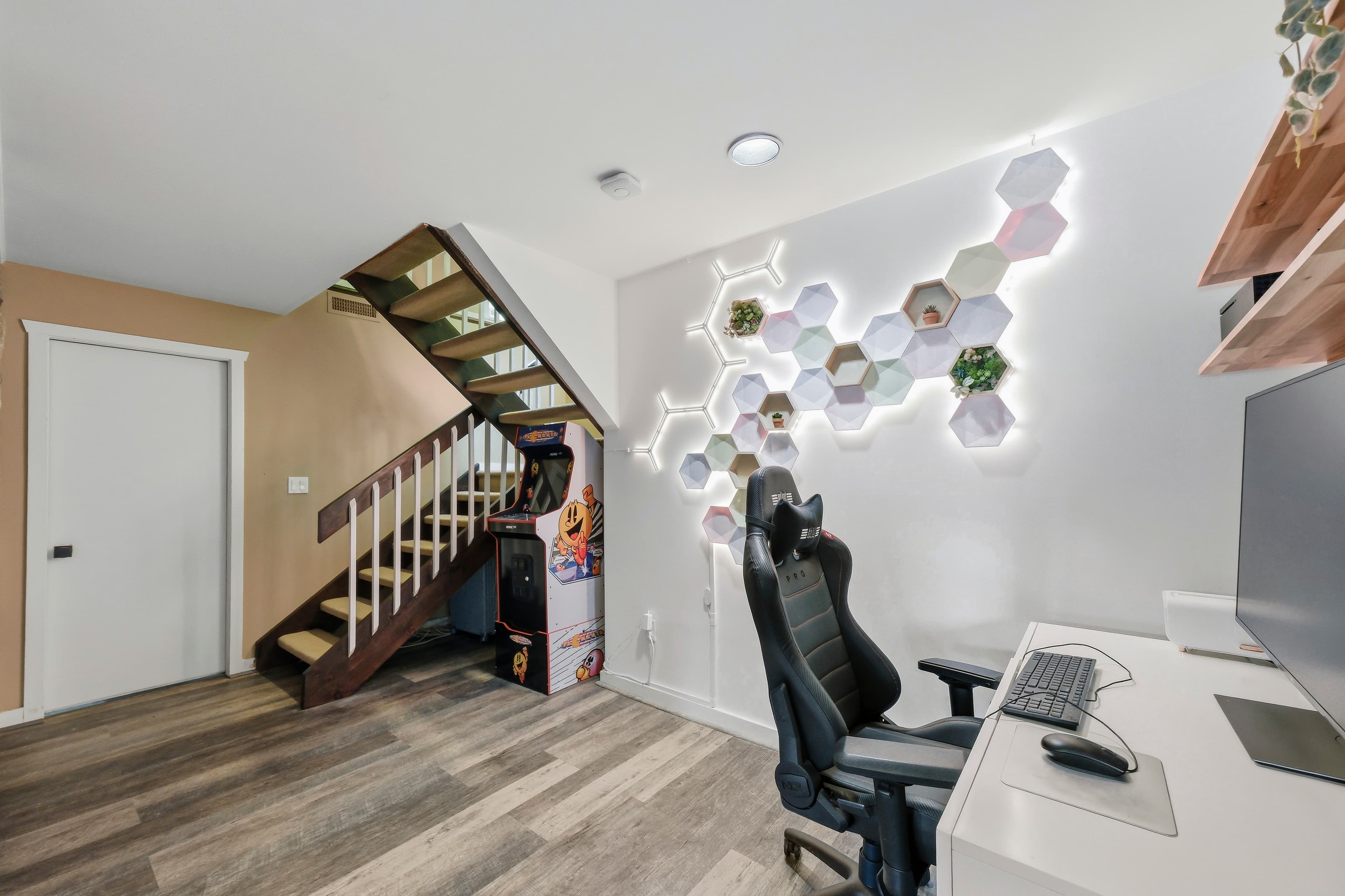 Recreation Room (Lower Level)